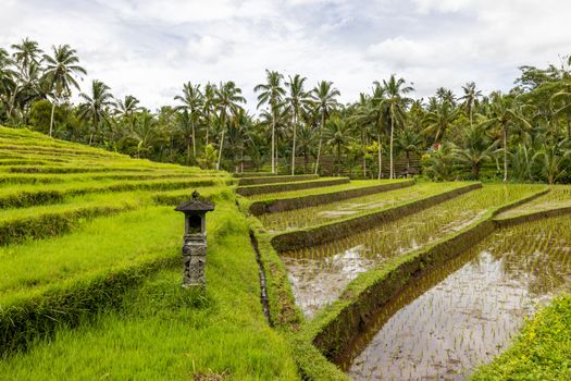 Bali &middot; Indonesia